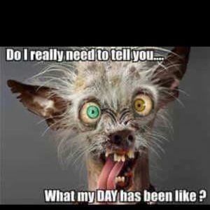 Meet your Posher, Patricia